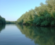 Poze Delta Dunarii